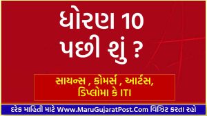 ધોરણ 10 પછી શું