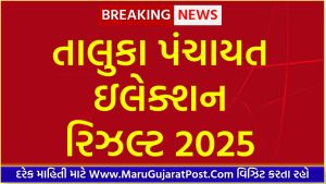 Gujarat Taluka Panchayat Election Result 2025